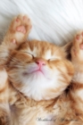 Image for Cute Sleeping Kitten Workbook of Affirmations Cute Sleeping Kitten Workbook of Affirmations
