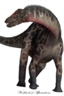 Image for Dicraeosaurus Dinosaur Workbook of Affirmations Dicraeosaurus Dinosaur Workbook of Affirmations