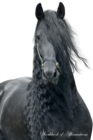 Image for Fresian Horse Stallion Workbook of Affirmations Fresian Horse Stallion Workbook of Affirmations