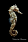Image for The Rare Seahorse Workbook of Affirmations The Rare Seahorse Workbook of Affirmations