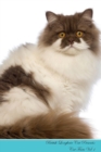 Image for British Longhair Cat Presents