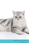 Image for British Shorthair Cat Presents