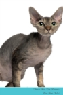 Image for Devon Rex Cat Presents : Cat Facts Workbook. Devon Rex Cat Presents Cat Facts Workbook with Self Therapy, Journalling, Productivity Tracker with Self Therapy, Journalling, Productivity Tracker Workboo
