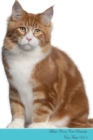 Image for Maine Coon Cat Presents