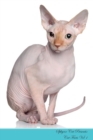 Image for Sphynx Cat Presents : Cat Facts Workbook. Sphynx Cat Presents Cat Facts Workbook with Self Therapy, Journalling, Productivity Tracker with Self Therapy, Journalling, Productivity Tracker Workbook. Inc
