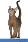 Image for Abyssinian Cat Presents : Cat Facts Workbook. Abyssinian Cat Presents Cat Facts Workbook with Self Therapy, Journalling, Productivity Tracker with Self Therapy, Journalling, Productivity Tracker Workb
