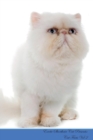 Image for Exotic Shorthair Cat Presents