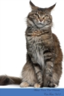 Image for Maine Coon Cat Presents : Cat Facts Workbook. Maine Coon Cat Presents Cat Facts Workbook with Self Therapy, Journalling, Productivity Tracker with Self Therapy, Journalling, Productivity Tracker Workb