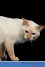 Image for Mekong Bobtail Cat Presents