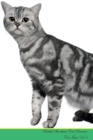 Image for British Shorthair Cat Presents : Cat Facts Workbook. British Shorthair Cat Presents Cat Facts Workbook with Self Therapy, Journalling, Productivity Tracker with Self Therapy, Journalling, Productivity