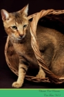 Image for Chausie Cat Presents