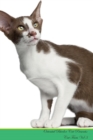 Image for Oriental Bicolor Cat Presents