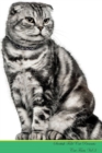 Image for Scottish Fold Cat Presents