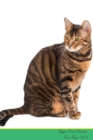 Image for Toyger Cat Presents