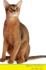 Image for Abyssinian Cat Presents : Cat Facts Workbook. Abyssinian Cat Presents Cat Facts Workbook with Self Therapy, Journalling, Productivity Tracker with Self Therapy, Journalling, Productivity Tracker Workb