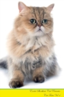 Image for Exotic Shorthair Cat Presents : Cat Facts Workbook. Exotic Shorthair Cat Presents Cat Facts Workbook with Self Therapy, Journalling, Productivity Tracker with Self Therapy, Journalling, Productivity T
