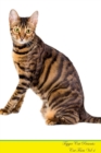 Image for Toyger Cat Presents : Cat Facts Workbook. Toyger Cat Presents Cat Facts Workbook with Self Therapy, Journalling, Productivity Tracker with Self Therapy, Journalling, Productivity Tracker Workbook. Inc
