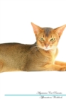 Image for Abyssinian Cat Affirmations Workbook Abyssinian Cat Presents : Positive and Loving Affirmations Workbook. Includes: Mentoring Questions, Guidance, Supporting You.