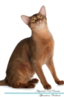 Image for Abyssinian Cat Affirmations Workbook Abyssinian Cat Presents : Positive and Loving Affirmations Workbook. Includes: Mentoring Questions, Guidance, Supporting You.