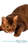 Image for Abyssinian Cat Affirmations Workbook Abyssinian Cat Presents