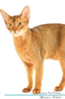 Image for Abyssinian Cat Affirmations Workbook Abyssinian Cat Presents : Positive and Loving Affirmations Workbook. Includes: Mentoring Questions, Guidance, Supporting You.
