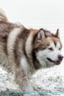 Image for Alaskan Malamute Affirmations Workbook Alaskan Malamute Presents : Positive and Loving Affirmations Workbook. Includes: Mentoring Questions, Guidance, Supporting You.
