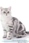 Image for American Shorthair Cat Affirmations Workbook American Shorthair Cat Presents : Positive and Loving Affirmations Workbook. Includes: Mentoring Questions, Guidance, Supporting You.