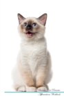 Image for Birman Cat Affirmations Workbook Birman Cat Presents : Positive and Loving Affirmations Workbook. Includes: Mentoring Questions, Guidance, Supporting You.