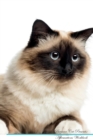 Image for Birman Cat Affirmations Workbook Birman Cat Presents : Positive and Loving Affirmations Workbook. Includes: Mentoring Questions, Guidance, Supporting You.