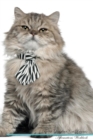 Image for British Longhair Cat Affirmations Workbook British Longhair Cat Presents : Positive and Loving Affirmations Workbook. Includes: Mentoring Questions, Guidance, Supporting You.