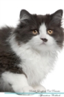 Image for British Longhair Cat Affirmations Workbook British Longhair Cat Presents : Positive and Loving Affirmations Workbook. Includes: Mentoring Questions, Guidance, Supporting You.