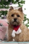 Image for Cairn Terrier Affirmations Workbook Cairn Terrier Presents : Positive and Loving Affirmations Workbook. Includes: Mentoring Questions, Guidance, Supporting You.