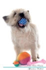 Image for Cairn Terrier Affirmations Workbook Cairn Terrier Presents : Positive and Loving Affirmations Workbook. Includes: Mentoring Questions, Guidance, Supporting You.