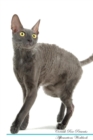 Image for Cornish Rex Affirmations Workbook Cornish Rex Presents : Positive and Loving Affirmations Workbook. Includes: Mentoring Questions, Guidance, Supporting You.