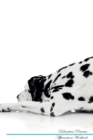 Image for Dalmatian Affirmations Workbook Dalmatian Presents : Positive and Loving Affirmations Workbook. Includes: Mentoring Questions, Guidance, Supporting You.