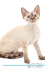 Image for Devon Rex Affirmations Workbook Devon Rex Presents : Positive and Loving Affirmations Workbook. Includes: Mentoring Questions, Guidance, Supporting You.