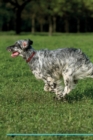 Image for English Setter Affirmations Workbook English Setter Presents : Positive and Loving Affirmations Workbook. Includes: Mentoring Questions, Guidance, Supporting You.