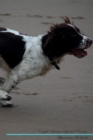 Image for English Springer Spaniel Affirmations Workbook English Springer Spaniel Presents : Positive and Loving Affirmations Workbook. Includes: Mentoring Questions, Guidance, Supporting You.