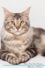 Image for Maine Coon Cat Affirmations Workbook Maine Coon Cat Presents : Positive and Loving Affirmations Workbook. Includes: Mentoring Questions, Guidance, Supporting You.
