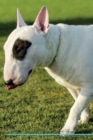Image for Miniature Bull Terrier Affirmations Workbook Miniature Bull Terrier Presents : Positive and Loving Affirmations Workbook. Includes: Mentoring Questions, Guidance, Supporting You.