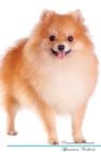 Image for Pomeranian Affirmations Workbook Pomeranian Presents : Positive and Loving Affirmations Workbook. Includes: Mentoring Questions, Guidance, Supporting You.