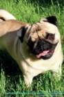 Image for Pug Affirmations Workbook Pug Presents : Positive and Loving Affirmations Workbook. Includes: Mentoring Questions, Guidance, Supporting You.