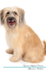 Image for Pyrenean Shepherd Affirmations Workbook Pyrenean Shepherd Presents : Positive and Loving Affirmations Workbook. Includes: Mentoring Questions, Guidance, Supporting You.