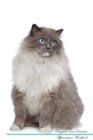 Image for Ragdoll Cat Affirmations Workbook Ragdoll Cat Presents : Positive and Loving Affirmations Workbook. Includes: Mentoring Questions, Guidance, Supporting You.