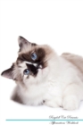 Image for Ragdoll Cat Affirmations Workbook Ragdoll Cat Presents : Positive and Loving Affirmations Workbook. Includes: Mentoring Questions, Guidance, Supporting You.