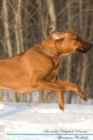 Image for Rhodesian Ridgeback Affirmations Workbook Rhodesian Ridgeback Presents : Positive and Loving Affirmations Workbook. Includes: Mentoring Questions, Guidance, Supporting You.
