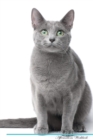Image for Russian Blue Cat Affirmations Workbook Russian Blue Cat Presents : Positive and Loving Affirmations Workbook. Includes: Mentoring Questions, Guidance, Supporting You.