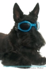 Image for Scottish Terrier Affirmations Workbook Scottish Terrier Presents : Positive and Loving Affirmations Workbook. Includes: Mentoring Questions, Guidance, Supporting You.