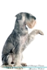 Image for Standard Schnauzer Affirmations Workbook Standard Schnauzer Presents : Positive and Loving Affirmations Workbook. Includes: Mentoring Questions, Guidance, Supporting You.