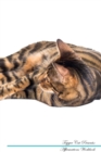 Image for Toyger Cat Affirmations Workbook Toyger Cat Presents : Positive and Loving Affirmations Workbook. Includes: Mentoring Questions, Guidance, Supporting You.